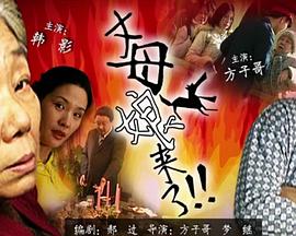 布朗宁版本